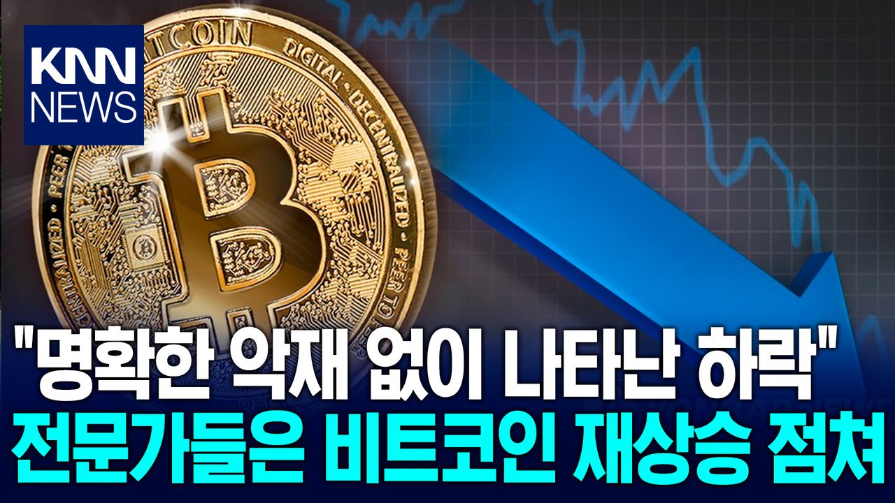 비트코인 매도세 후 반등? ＂최근 가격 하락은 건강한 수준＂ / KNN | 네이트 TV