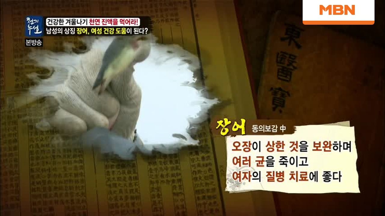 남성의 상징 장어, 생리통과 생리불순에 효과만점! | 네이트 TV