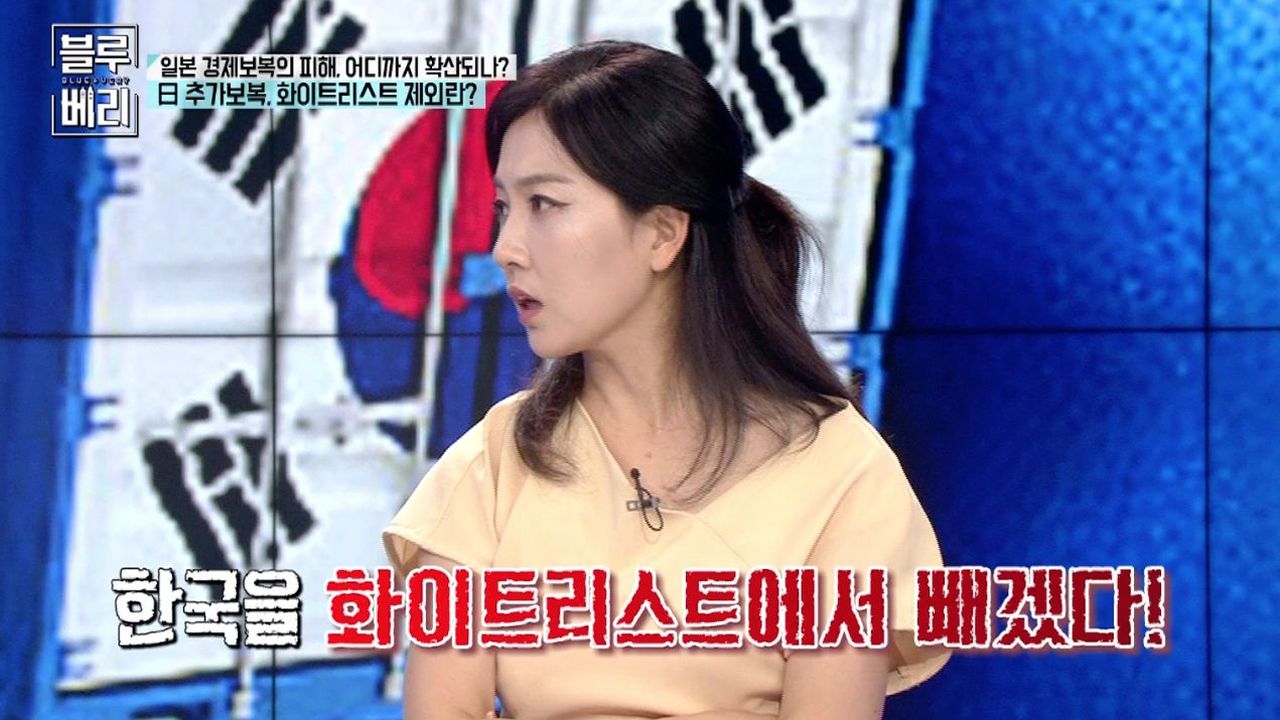 블루베리] 도대체 화이트리스트란 무엇인가? | 네이트 TV