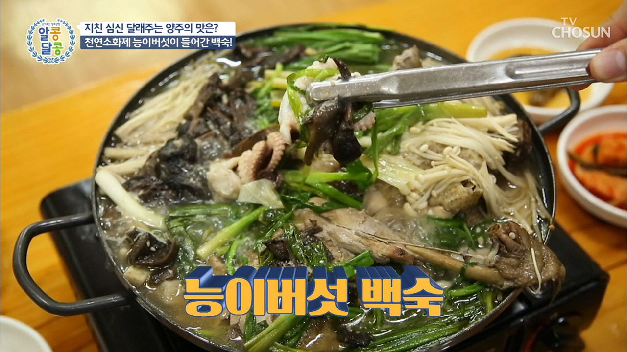 능이버섯과 닭의 만남♥ 능이백숙에 쭈꾸미까지?! | 네이트 Tv