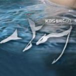 프로그램 대표 섬네일 이미지