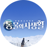 프로그램 대표 섬네일 이미지