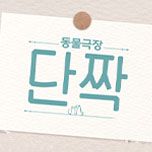 프로그램 대표 섬네일 이미지