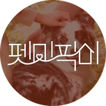 프로그램 대표 섬네일 이미지
