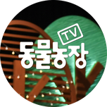 프로그램 대표 섬네일 이미지