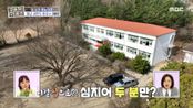학교가 우리 집이라니..🏫 부부가 20년 동안 살았던 폐교 세컨드 하우스, MBC 240502 방송
