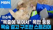 ＂목줄에 묶여서＂ 목만 둥둥…목숨 걸고 구조한 스트리머 外 | 이슈픽