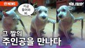 [최초공개]'화제의 짤' 주인공, 새 개인기 선보여ㅣSBS뉴스멀봐(2024.03.29) Doggo that went VIRAL shows off new skillz