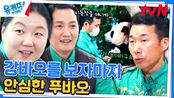 중국 검역 당시, 강철원 자기님을 알아본 푸바오의 귀여운 행동! | tvN 240417 방송