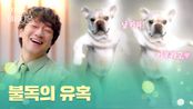 한지민의 정체를 밝히기 위한 치명적인 방법 ＂날 키워♥＂ | JTBC 250427 방송