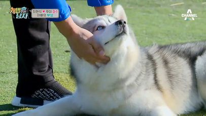 부상투혼♨ 불안한 최종연습! 최현석X뚜이, 이대로 괜찮은거니..?ㅠ_ㅠ | 네이트 TV