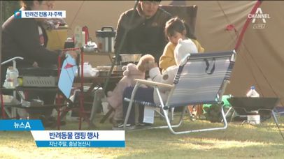 반려견에게 아낌없이 쓴다…이젠 ‘펫미족’ 시대 | 네이트 TV