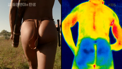 큰 엉덩이 돌연변이, 엄청난 파장을 일으키다  | 네이트 TV