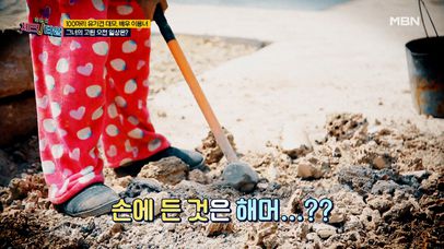 강아지들의 행복이 느껴지는 이용녀의 러브 하우스 공개! 그녀가 아침부터 해머를 들어야 하는 사연은?! MBN 220530 방송 | 네이트 TV