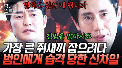 [#감사합니다 11화] 페이퍼 컴퍼니의 실체를 찾아내며 더욱 가까워진 진범과의 거리! 감사팀장에게 꼬리를 밟힌 최종 빌런이 내린 결론은 신하균 살해!?🔥 | 네이트 TV